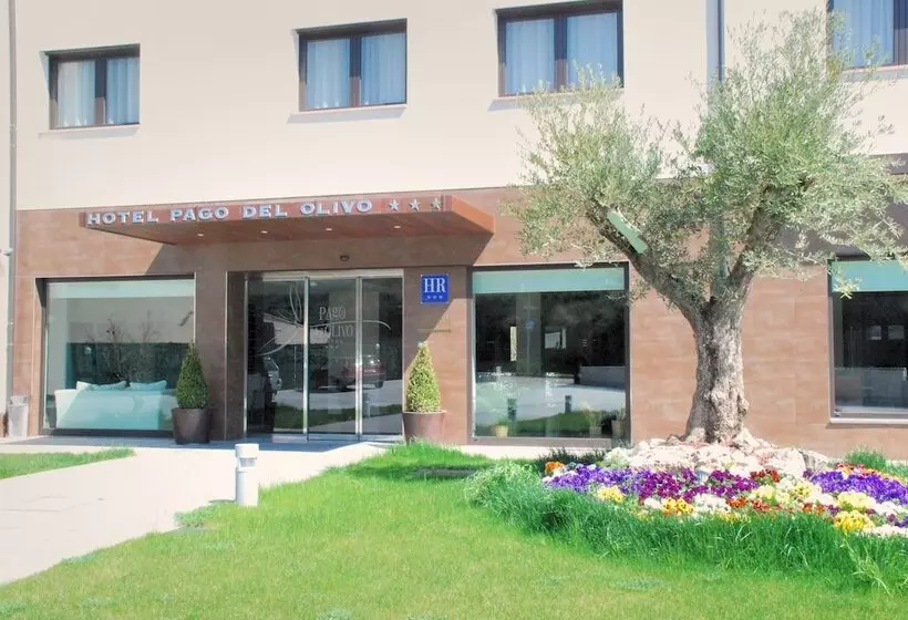 Fotos del hotel Pago Del Olivo:  23