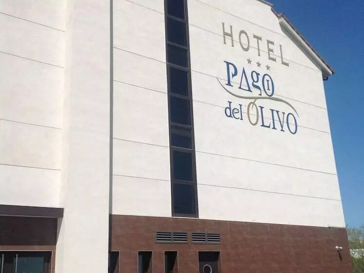 Fotos del hotel Pago Del Olivo:  1