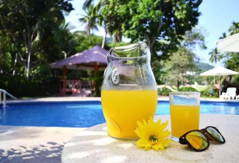 Fotos del hotel Coral Ixtapa:  4