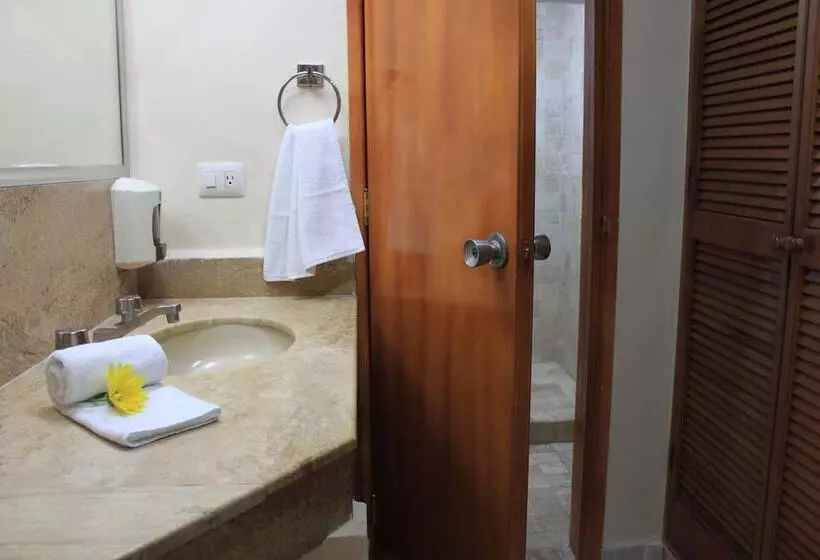 Fotos del hotel Coral Ixtapa:  15