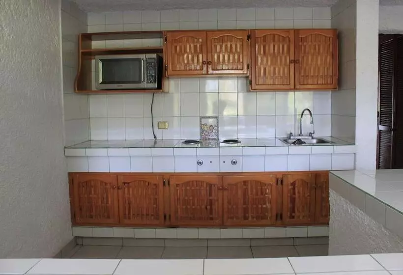 Fotos del hotel Coral Ixtapa:  7