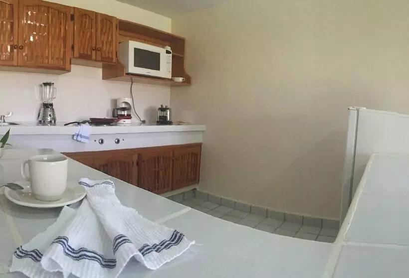 Fotos del hotel Coral Ixtapa:  25