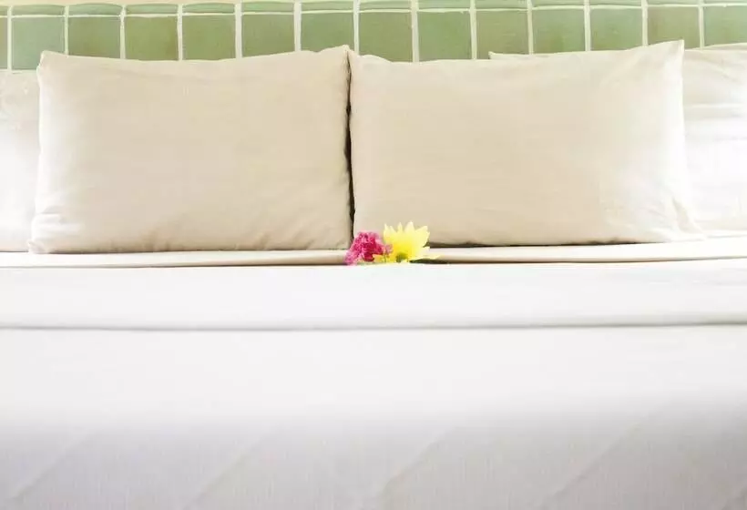 Fotos del hotel Coral Ixtapa:  9