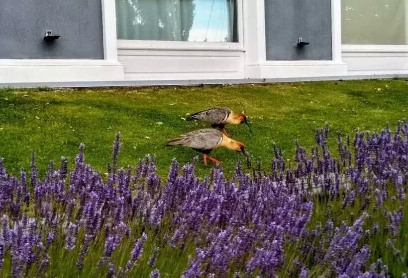 Fotos del hotel Los Ponchos:  2