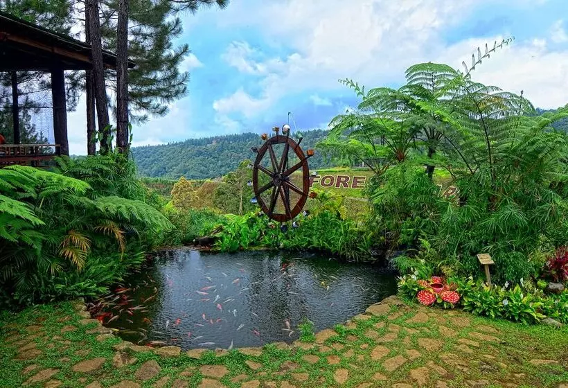 Fotos del hotel Dahilayan Forest Park Resort:  5