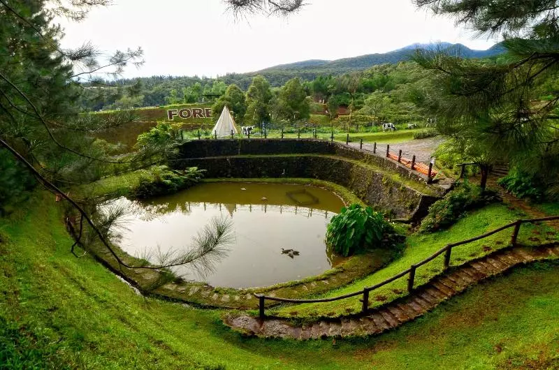Fotos del hotel Dahilayan Forest Park Resort:  16