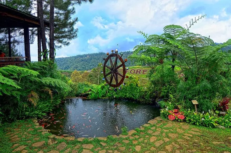 Fotos del hotel Dahilayan Forest Park Resort:  15