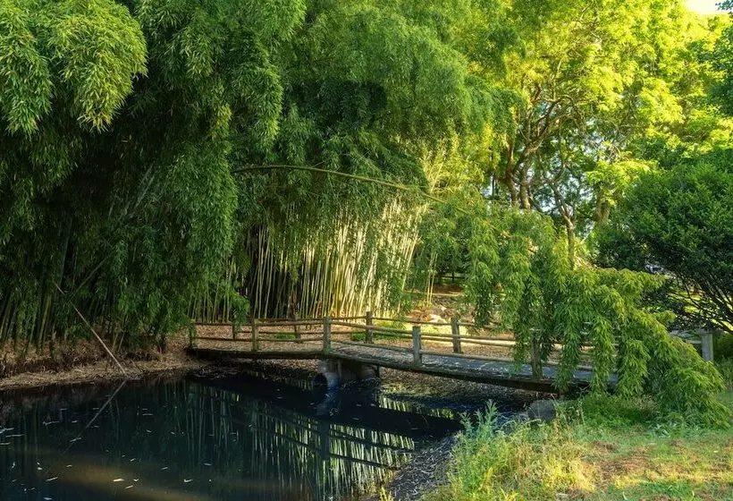 Fotos del hotel Hamurana Lodge:  9