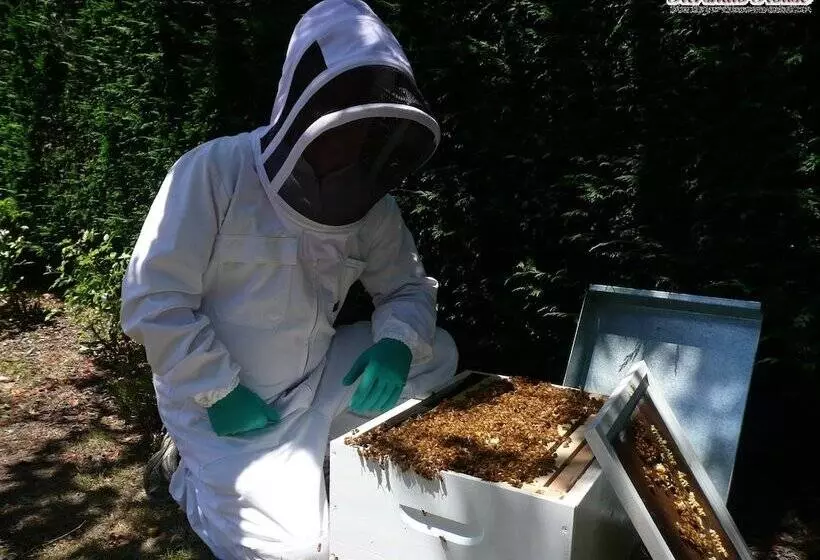 Fotos del hotel Kershaw House Boutique Accommodation:  5