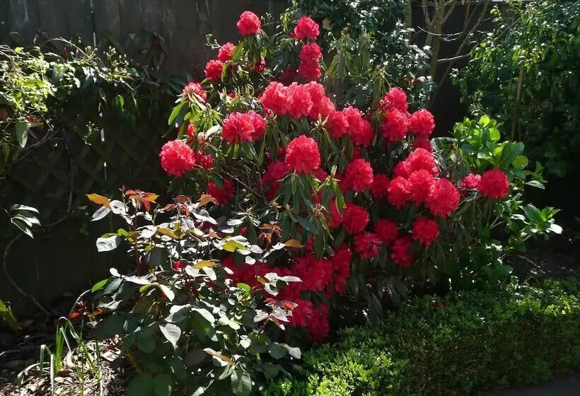 Fotos del hotel Kershaw House Boutique Accommodation:  21