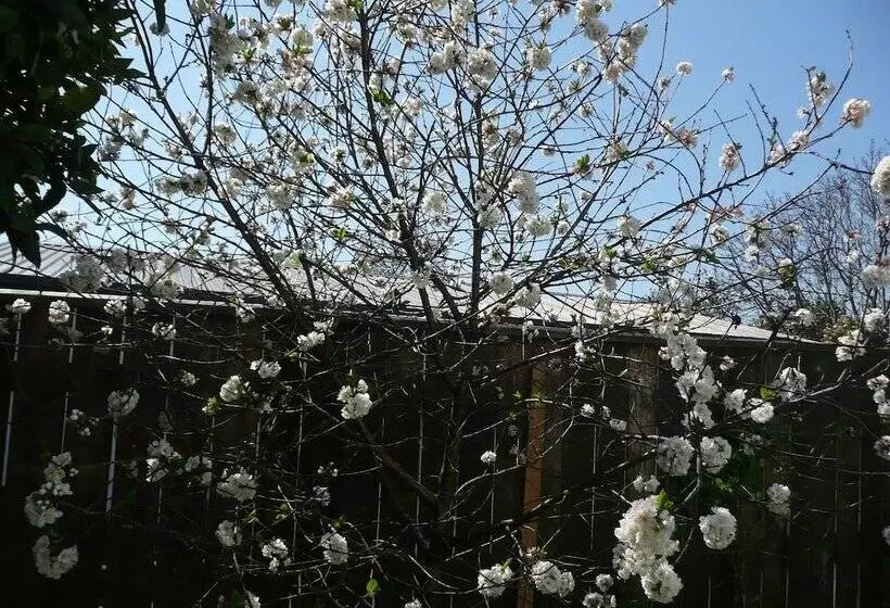 Fotos del hotel Kershaw House Boutique Accommodation:  25