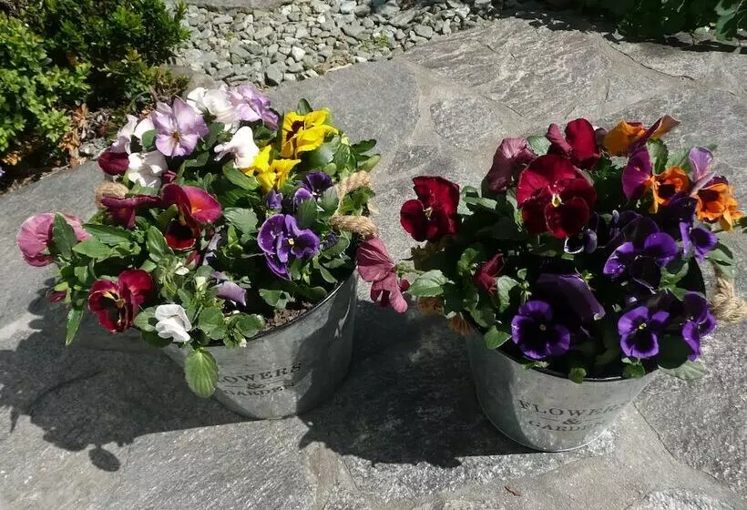 Fotos del hotel Kershaw House Boutique Accommodation:  19