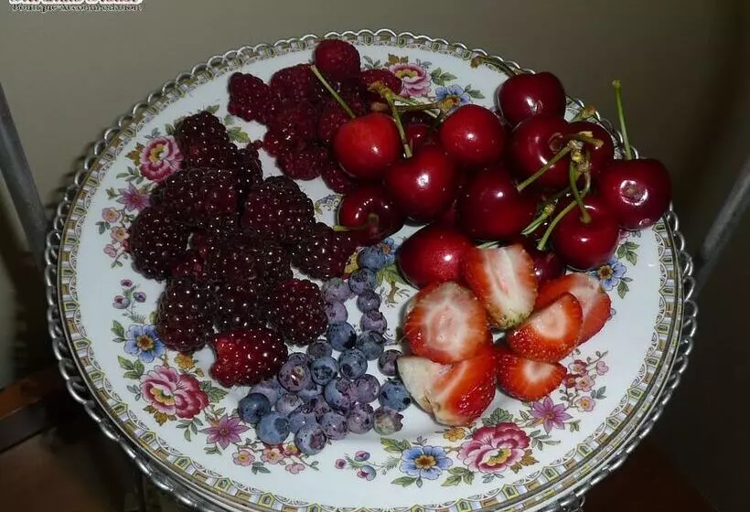 Fotos del hotel Kershaw House Boutique Accommodation:  3