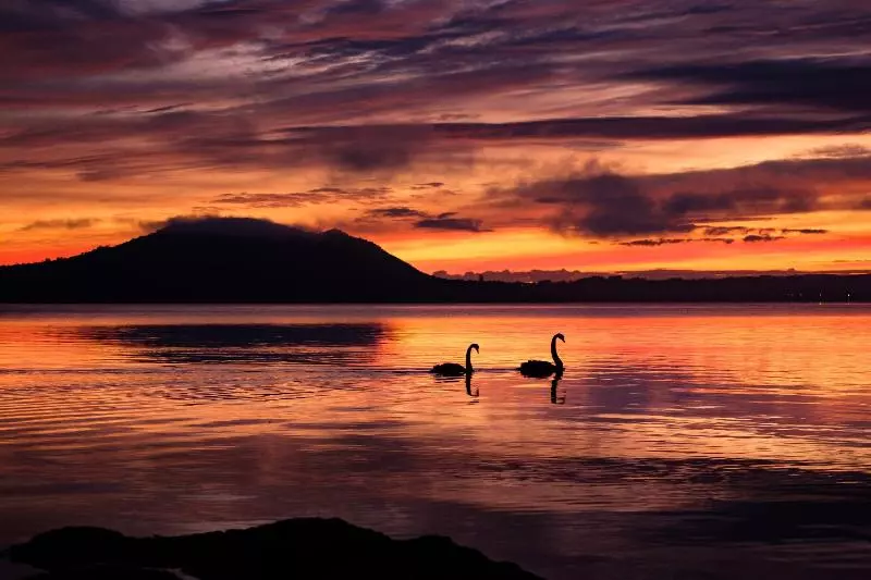 Fotos del hotel Peppers On The Point Lake Rotorua:  8