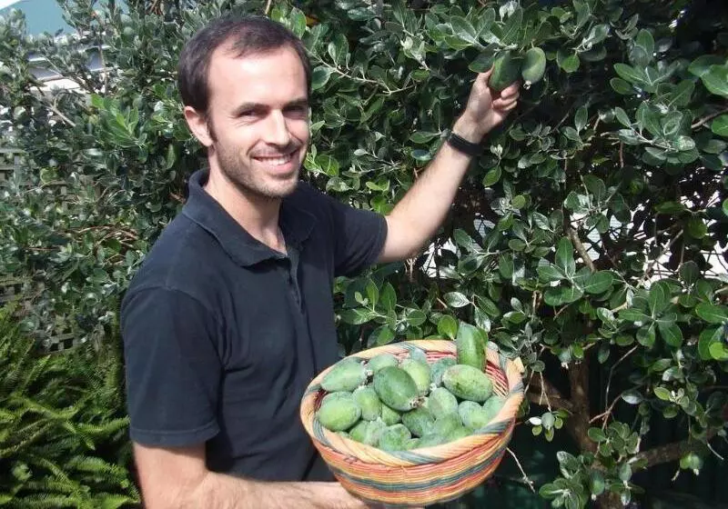 Fotos del hotel The Great Ponsonby Art:  9