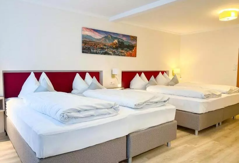 Fotos del hotel Cityhotel Trumer Stube:  23