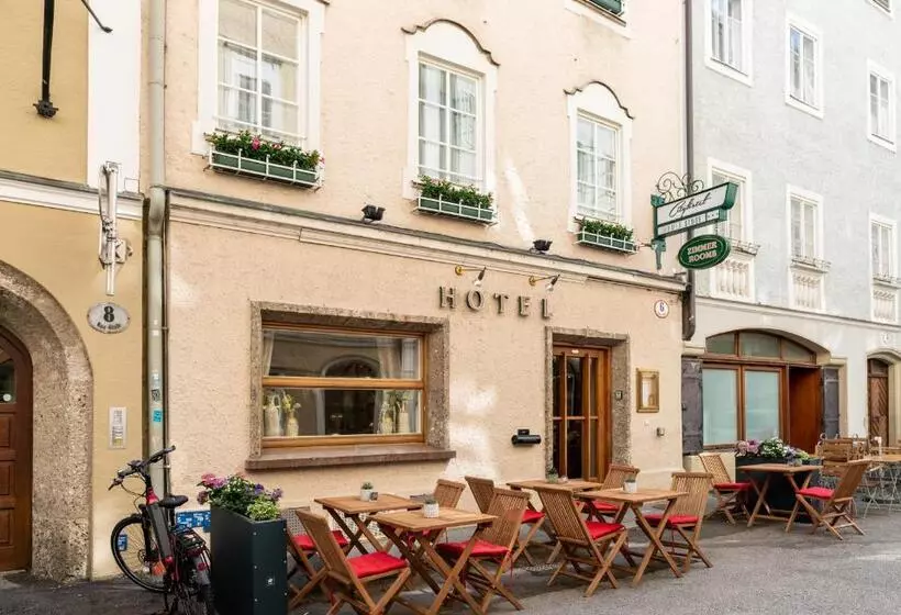 Fotos del hotel Cityhotel Trumer Stube:  12