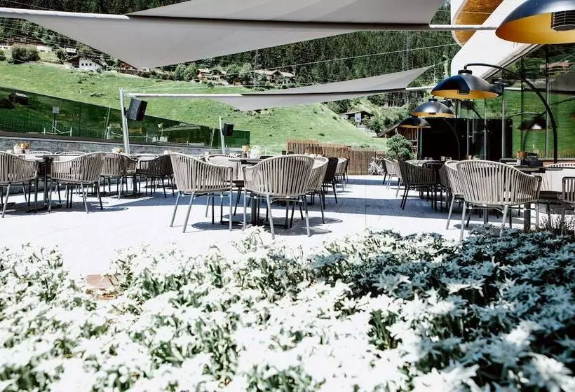 Fotos del hotel Arlmont Hotel:  8