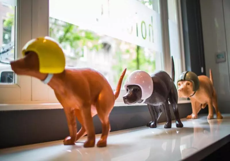 Fotos del hotel Jl No76:  12