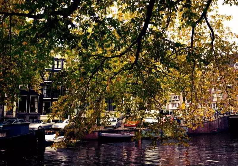 Fotos del hotel The Bank:  7