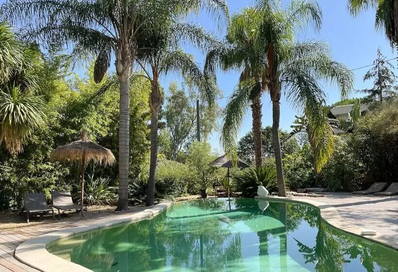 Fotos del hotel Cannes Villa St Barth:  2