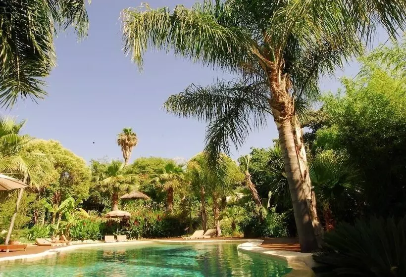 Fotos del hotel Cannes Villa St Barth:  22