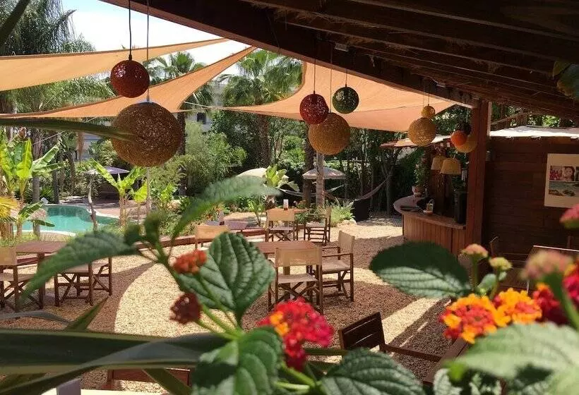 Fotos del hotel Cannes Villa St Barth:  5