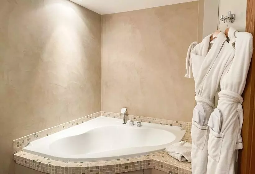 Fotos del hotel Cannes Villa St Barth:  20