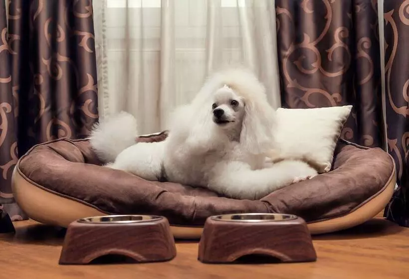 Fotos del hotel City Residence Apartment:  22