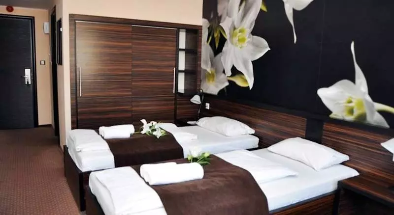 Fotos del hotel Green Hotel Budapest:  18