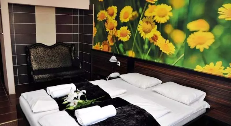 Fotos del hotel Green Hotel Budapest:  20