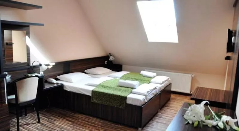 Fotos del hotel Green Hotel Budapest:  12