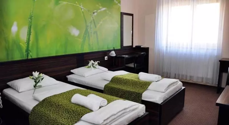 Fotos del hotel Green Hotel Budapest:  8