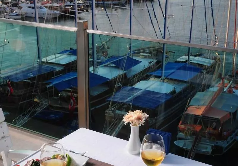 Fotos del hotel Alesta Yacht:  9