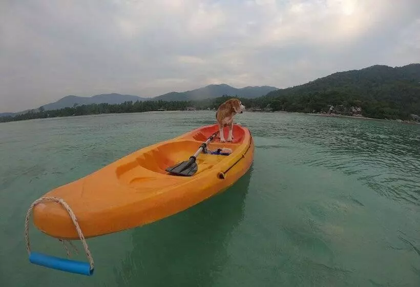 Fotos del hotel Chantaramas Resort:  23