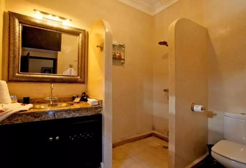 Fotos del hotel Ryad Amiran & Spa:  14