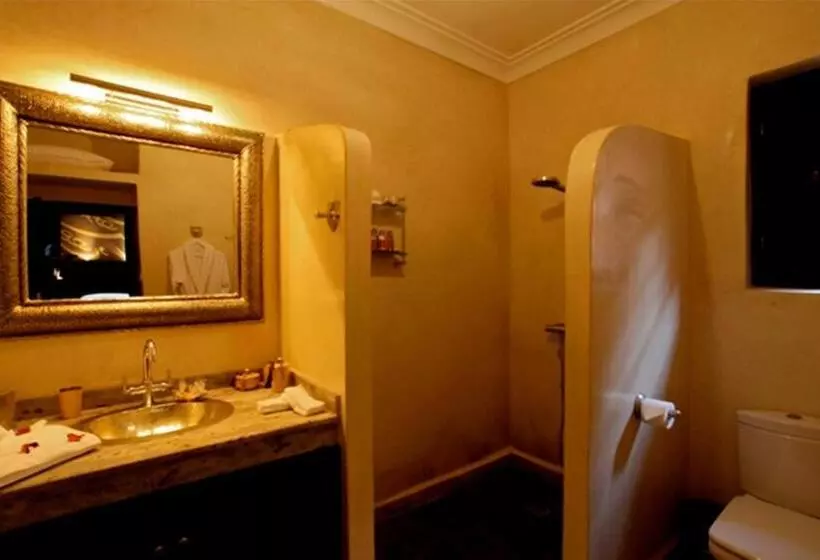 Fotos del hotel Ryad Amiran & Spa:  6