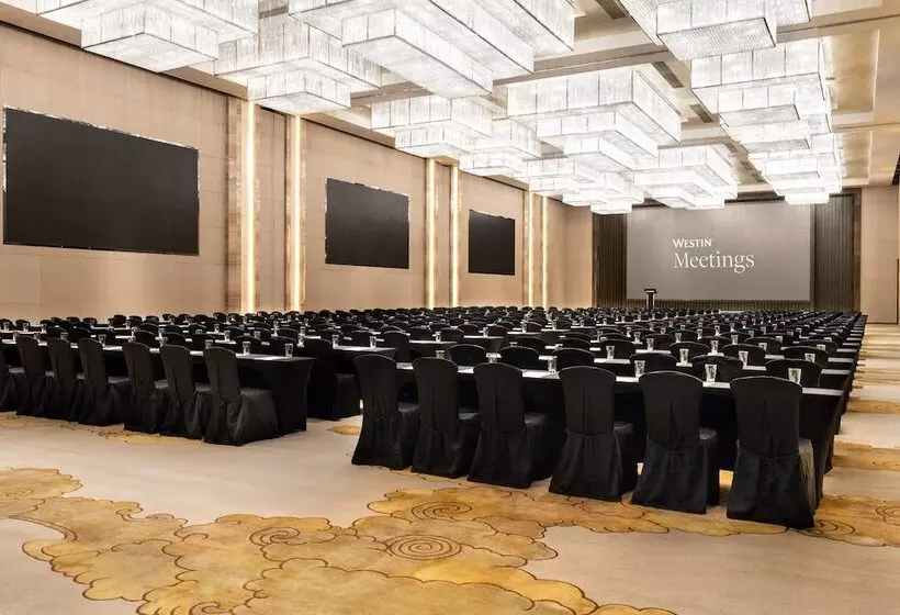 Fotos del hotel The Westin Pazhou:  18