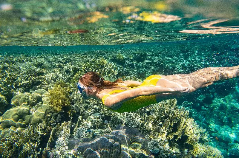 Fotos del hotel The Three Corners Equinox Beach Resort:  11