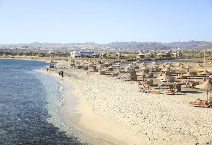 Fotos del hotel The Three Corners Equinox Beach Resort:  5