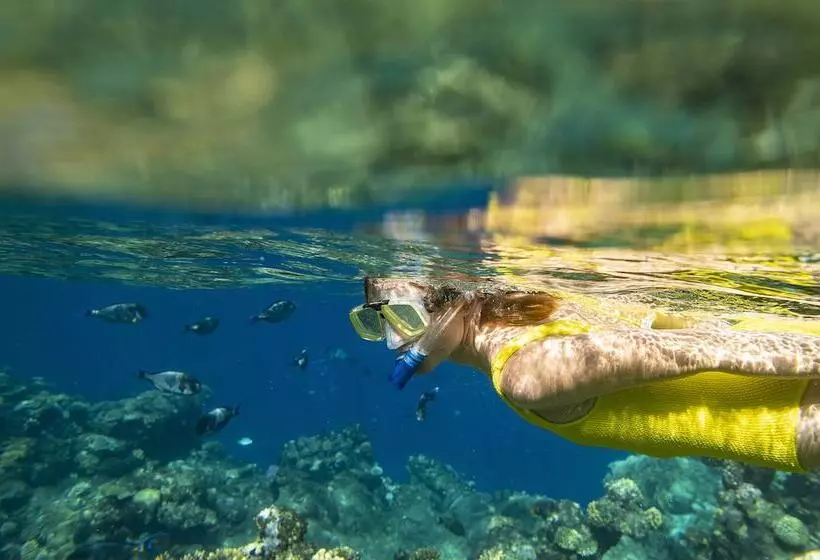 Fotos del hotel The Three Corners Equinox Beach Resort:  9