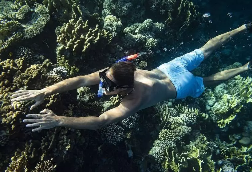 Fotos del hotel The Three Corners Equinox Beach Resort:  17