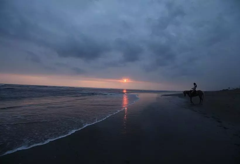 Fotos del hotel Ametis Villas:  7