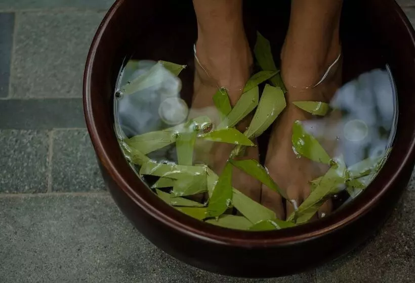 Fotos del hotel Ametis Villas:  6