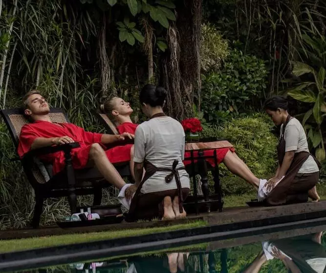 Fotos del hotel Ametis Villas:  3