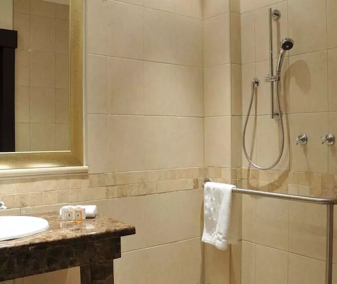 Fotos del hotel Holiday Inn Sandton, An Ihg:  10