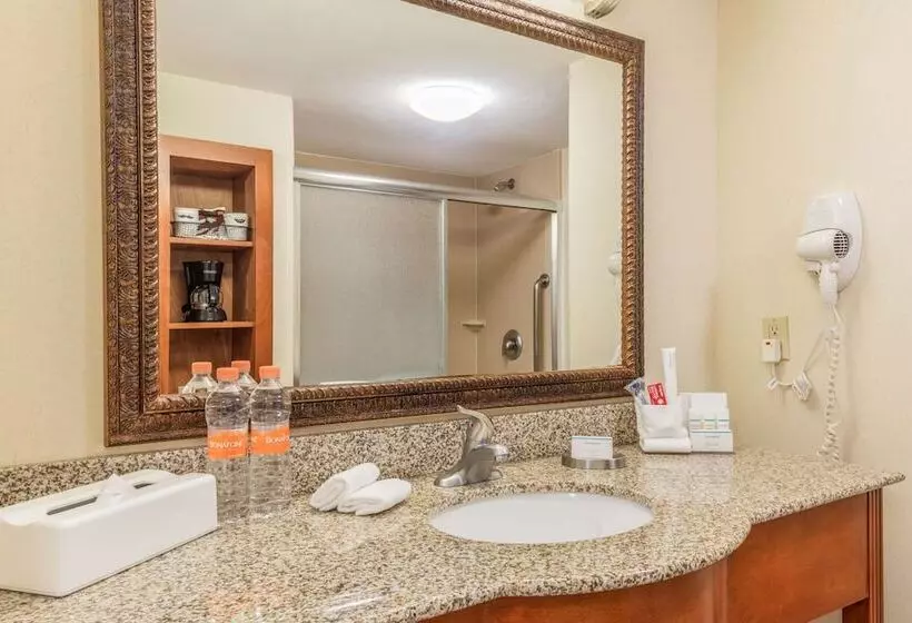 Fotos del hotel Hampton Inn By Hiltonqueretaro Tecnologico:  6