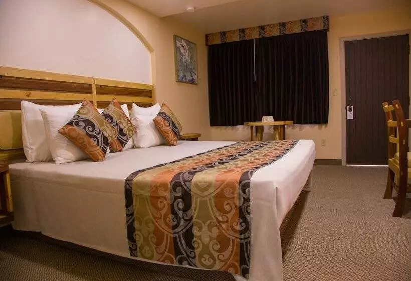 Fotos del hotel La Villa De Zaragoza:  18