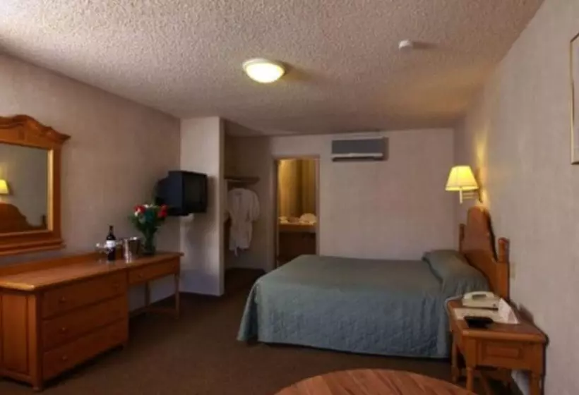 Fotos del hotel La Villa De Zaragoza:  4