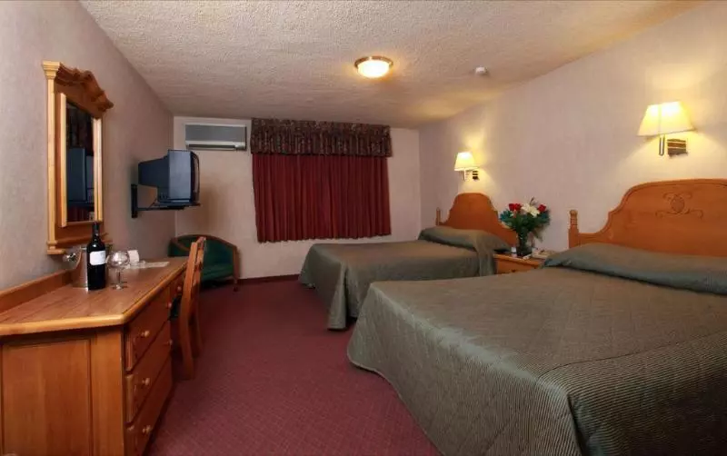 Fotos del hotel La Villa De Zaragoza:  8